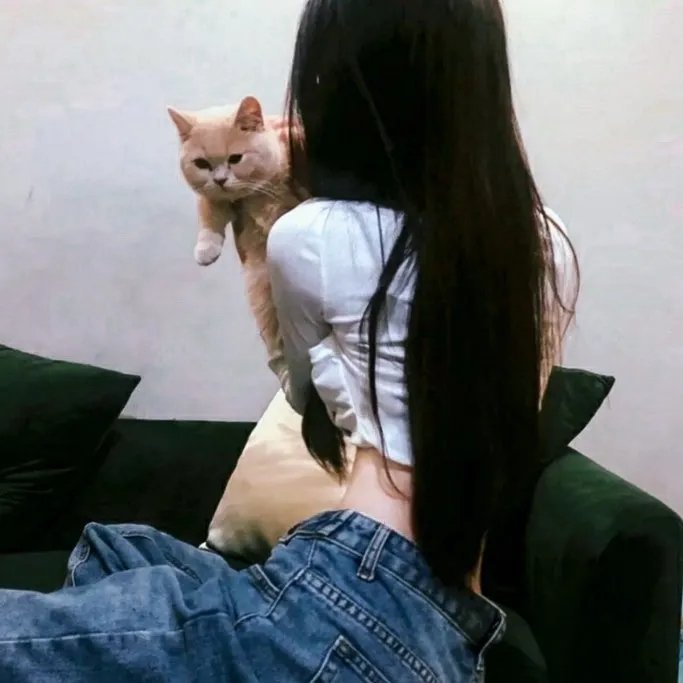 黑社会的墓场:腐朽之花